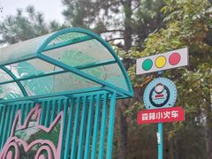 -成都松鼠部落