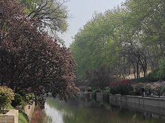 -元大都城垣遗址公园