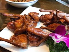 金牌红烧乳鸽-大鸽饭(马王堆店)