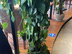 -盐帮食坊•小河帮川菜(四川师大店)