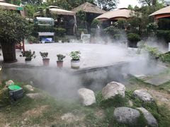 -二荆条·蜀鲜汇城市森林火锅