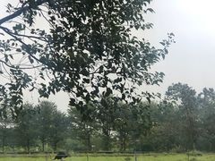 -瑞穗牧场