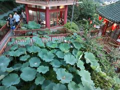 -枇杷园食为鲜火锅(南山店)