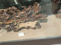 -烟台自然博物馆