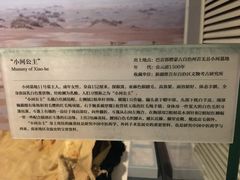 -北京大学赛克勒考古与艺术博物馆