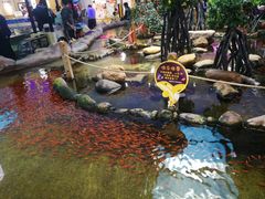 -鸿通城购物中心