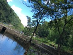 -白云源风景区