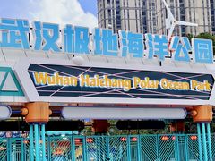 -海合安武汉极地海洋公园