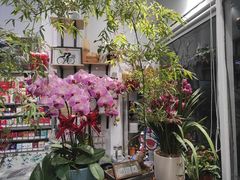 -FEI FEI FLOWER鲜花店·气球派对·宝宝宴布置(虹口德必运动Loft店)