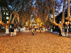 -东南大学(四牌楼校区)