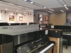 -雅马哈乐器专卖店(广州旗舰店)