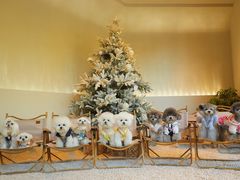 -J Create城市露营咖啡·简餐·宠物(上海动物园店)