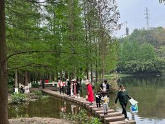 -重庆彩云湖湿地公园