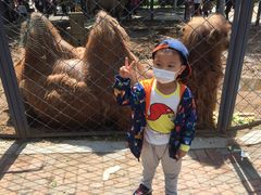 -长白岛森林公园