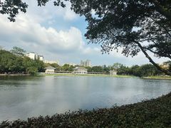 -荔湾湖公园