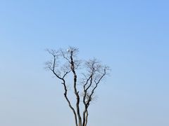 -东钱湖旅游度假区