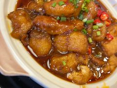 胖头鱼炖豆腐-张包铺(关东古巷店)