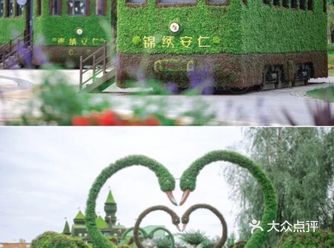 成都唯一获得两项吉尼斯纪录的花卉梦幻公园！