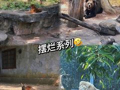 -广州动物园