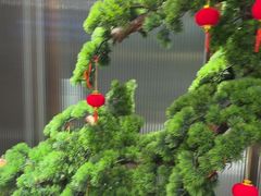-顺德佬华侨城店·商务宴请·团建