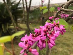 -梅溪湖城市岛