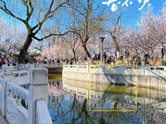 -桃花堤公园