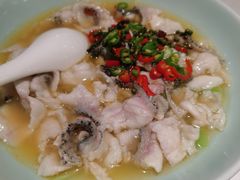 鲜青花椒鱼-港丽餐厅