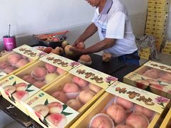 -南汇水蜜桃采摘(大团店)