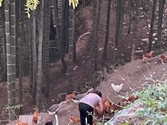 -罗田天堂寨风景区