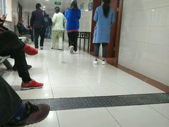 -温州市中西医结合医院