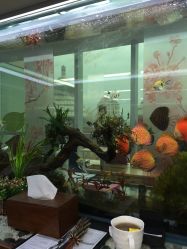 商户图片-小左美发