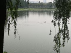 -艾溪湖湿地公园