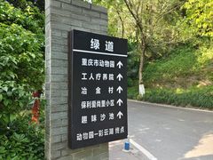 -重庆彩云湖湿地公园