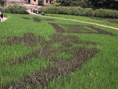 -韶山毛泽东同志故居