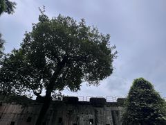 -威远炮台
