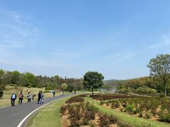 -宜兴龙背山森林公园