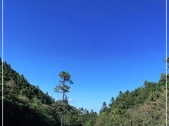 -武陵山森林公园