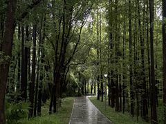 -东湖落雁景区