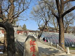 -红螺寺