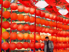 -中国天府农业博览园