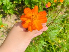 -漩门湾国家湿地公园