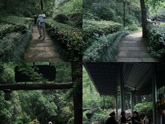 -十九峰景区