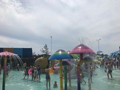 -秦皇岛乐岛海洋王国