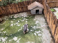 -太极禅苑