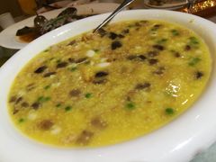 -紫阳富豪大酒店(惠南店)