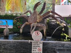 -無招牌海鮮(芽笼店)
