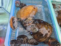 -林记海鲜排档·十年海鲜地标