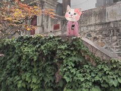 -北京鹫峰国家森林公园