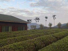 -汕头莲花山度假村温泉