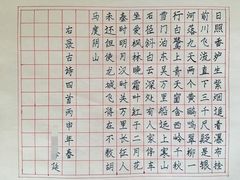 -赵汝飞练字(南京路国际贸易中心校区)